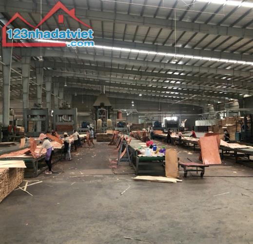 Cho Thuê Xưởng Phước Hòa, Phú Giáo, Bình Dương – 17.200m², PCCC Tự Động, Điện 3.000KVA – - 3