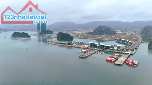Quỹ căn ngoại giao trực tiếp CĐT - Crystal Holidays Harbour Vân Đồn - 2