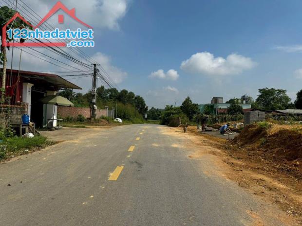 Siêu Mẫu tại Vạn Xuân -Tam Nông vị trí vàng trong làng đầu tư - 1