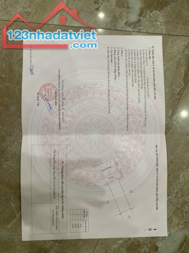 Tân Quang Minh khu đô thị nằm giữa trung tâm thành phố Thuỷ Nguyên   ✅ Không khí trong làn - 2
