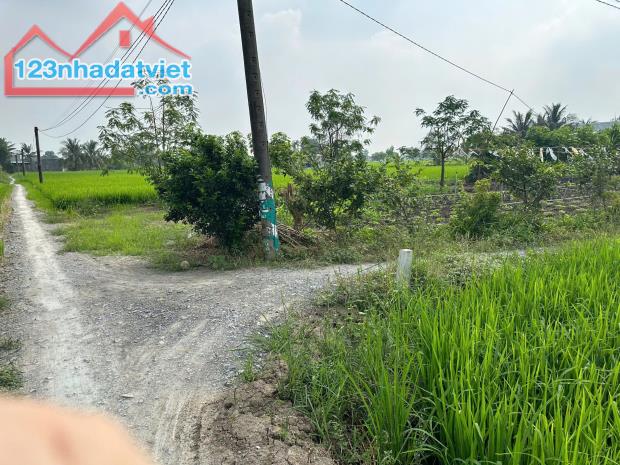 CHÍNH CHỦ CẦN BÁN NHANH ĐẤT TẠI ẤP AO GÒN, XÃ TÂN LÂN , CẦN ĐƯỚC, LONG AN