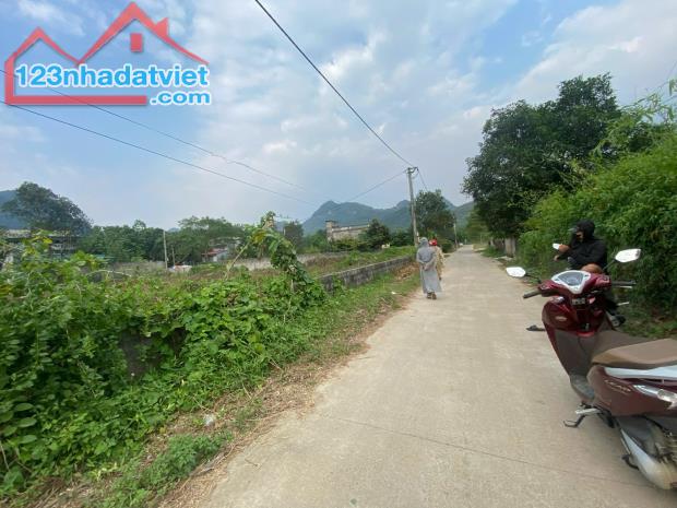 CẮT LỖ LÔ ĐẤT 128M GẦN TRƯỜNG CĐ NGHỀ LẠC THỦY-HB