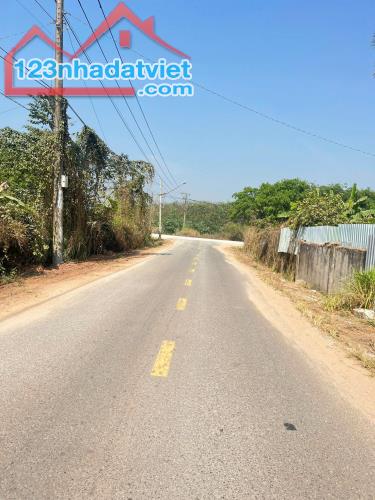 Đất Bàu Bàng trả trước 400tr nhận ngay sổ hồng - 1