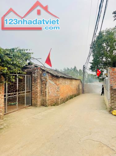 Siêu phẩm nhỉnh tỉ cho cọc 2 tháng - 2