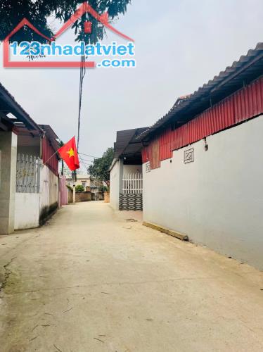 Siêu phẩm nhỉnh tỉ cho cọc 2 tháng - 3