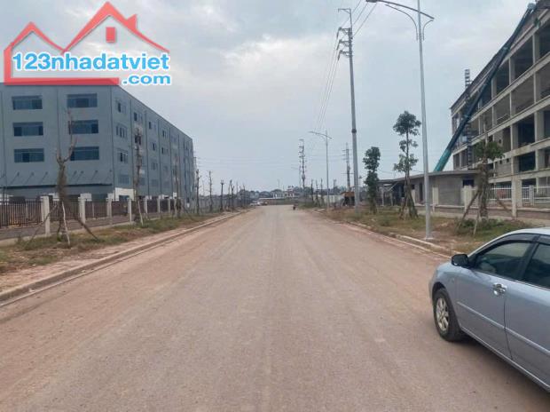 Đất nền phân lô dt75m2, đường 20m, vỉa hè 5m sát khu công nghiệp Tân Hưng-Lạng Giang-Bắc - 2