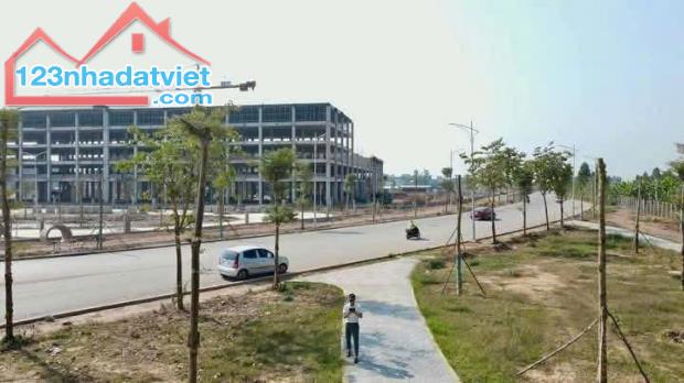 Đất nền phân lô dt75m2, đường 20m, vỉa hè 5m sát khu công nghiệp Tân Hưng-Lạng Giang-Bắc - 3