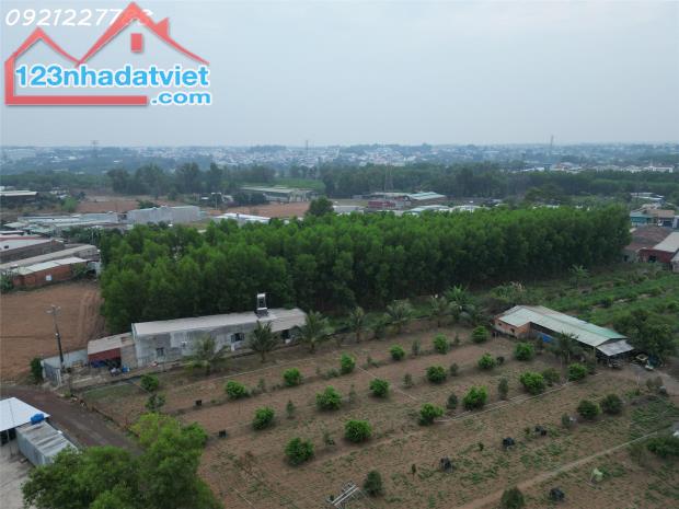 Bán 1000 m²  xã Bình Minh gần ngay QL1A đường nhựa lớn dân cư đông đúc giá chỉ  hơn 2 tỷ