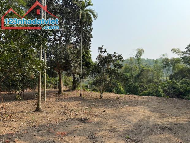 NHANH TAY THÌ CÒN 5TR/M2 CÓ NGAY 1442M2 TẠI TĐC ĐỒNG MÔ B YÊN BÀI - 2