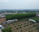Bán 1000 m²  xã Bình Minh gần ngay QL1A đường nhựa lớn dân cư đông đúc giá chỉ  hơn 2 tỷ