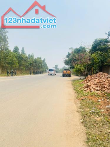 Bán đất mặt đường 302C Khai Quang, Trại Giao, Vĩnh Yên, Vĩnh Phúc. - 1