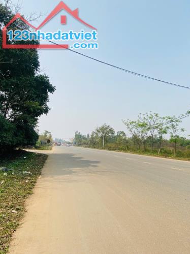 Bán đất mặt đường 302C Khai Quang, Trại Giao, Vĩnh Yên, Vĩnh Phúc. - 2