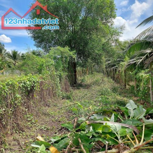 Đất mặt tiền Trần Thị Thơm, Tân Mỹ Chánh, Mỹ Tho Tiền Giang - 1