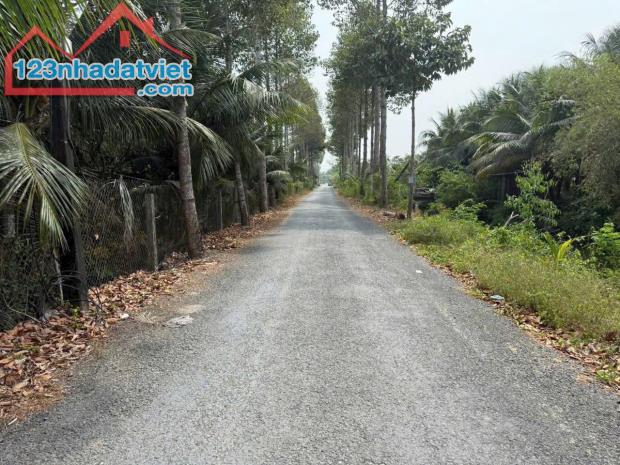 Đất mặt tiền Trần Thị Thơm, Tân Mỹ Chánh, Mỹ Tho Tiền Giang - 2