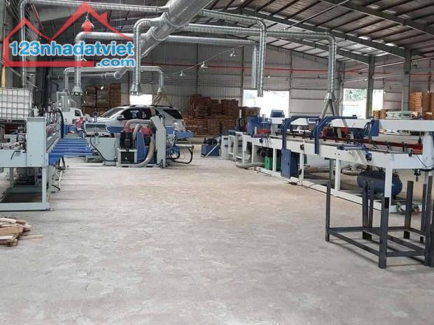 🌽SANG NHƯỢNG NHÀ MÁY GỔ CUM CÔNG NGHIỆP HÓC MÔN TP HCM