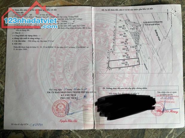 Bán Đất Mặt Đường Hà Trung,Hạ Long. DT:107m2,MT:4.6m Siêu Đẹp !!! - 3