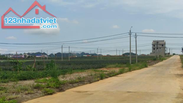 Chính chủ cần bán đất tại khu đô thi mới 20 ha Đường Đồng Giao, Tam Điệp