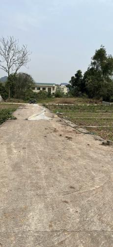 730 triệu Có Ngay 76m2 Thổ Cư -Hàng hiếm tại An Phú, Mỹ Đức Hà Nội - 3