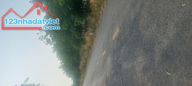 GẤP BÁN MẶT TIỀN ĐƯỜNG NHỰA XÃ NINH ĐIỀN --CHÂU THÀNH --TÂY NINH--163065M2 - 3