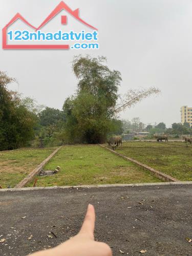 Bán Đất View Suối tại Đà Gạo, Linh Sơn, Bình Yên, Thạch Thất, ngay sát khu Công nghệ - 1