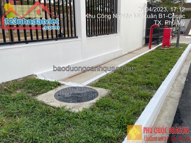 Các loại bán cỏ trồng sân vườn, công ty các loại giá rẻ ở hcm, đồng nai, brvt. - 1