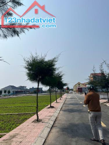 Khu đất biển Quất Lâm giá rẻ nhất thị trường