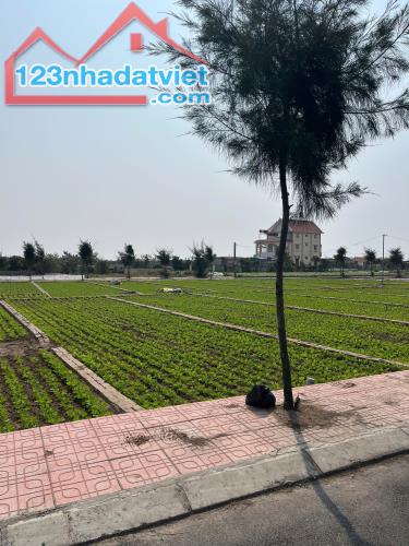 Khu đất biển Quất Lâm giá rẻ nhất thị trường - 1