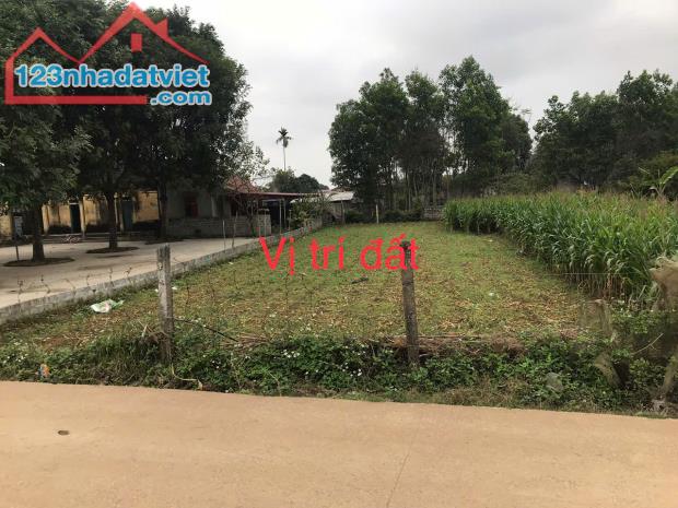 CHÍNH CHỦ BÁN ĐẤT TẠI THÔN 1, XÃ PHÚ LONG,HUYỆN NHO QUAN , TỈNH NINH BÌNH - 2
