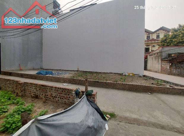 Đất Quang Minh, 67m2, mt4.8m, lô góc,ô tô, 3.93 tỷ, Mê Linh. - 2