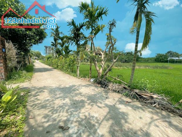 Lô Đất Full Thổ Cư 116m² Ngay Chợ Lạc Thành, Điện Hồng - 1