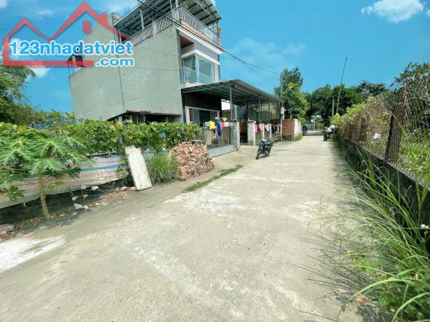 Lô Đất Full Thổ Cư 116m² Ngay Chợ Lạc Thành, Điện Hồng - 2