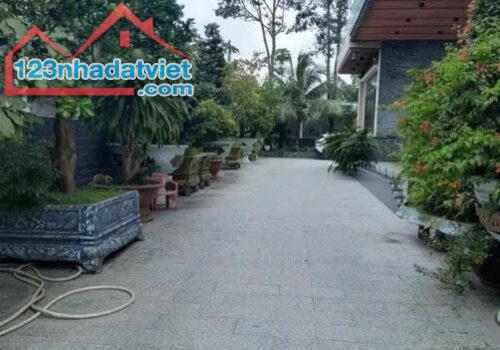 Bán Biệt thự sân vườn siêu vip trung tâm Cồn Khương, Ninh Kiều, Cần Thơ. - 4