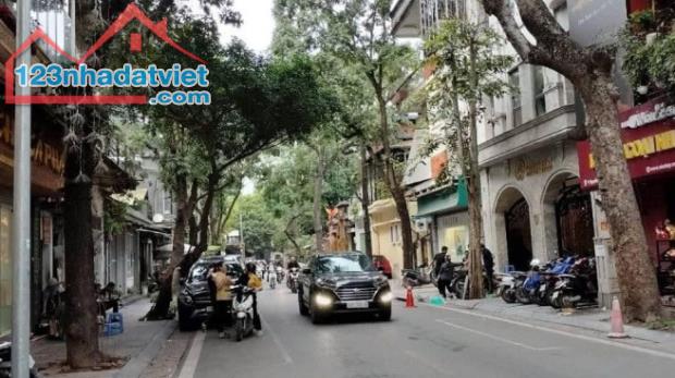 BÁN NHÀ QUẬN 1 , GIÁ RẺ 200m2 , 12m x 16m GIÁ CHỈ 38 TỶ ĐƯỜNG TRƯỚC NHÀ 10m ÔTÔ TRÁNH SÔ - 1