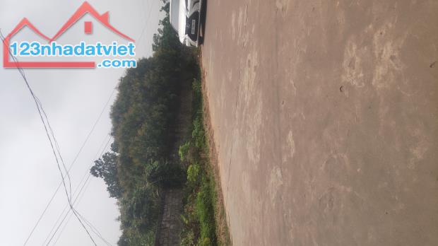 Bán Đất Trù Hựu, Thị Xã Chũ Lục Ngạn, Bắc Giang, Gía Đầu Tư 800 triệu, 300m2 0982188151