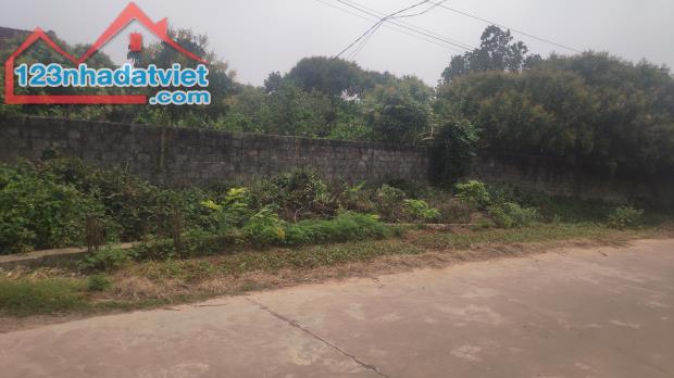 Bán Đất Trù Hựu, Thị Xã Chũ Lục Ngạn, Bắc Giang, Gía Đầu Tư 800 triệu, 300m2 0982188151 - 1