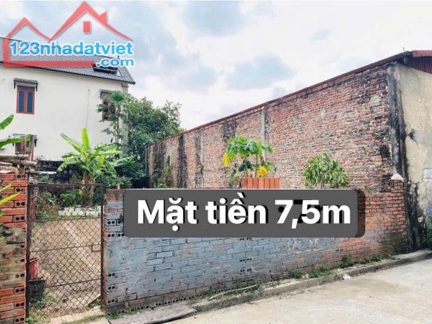 Chính Chủ Bán Đất Thổ Cư,  Yên Ninh, Việt Yên,Bắc Giang