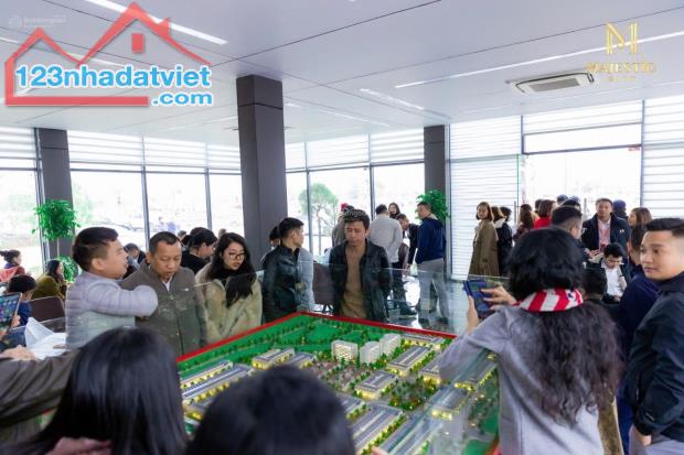 MAJESTIC CITY - TÂM ĐIỂM SỐT ĐẤT HƯNG YÊN - 1