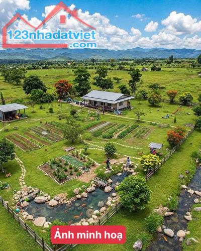 Bán Gấp Lô Đất Góc 2 Mặt Tiền ( 16M x 31M ) gần Uỷ Ban Xã Bình Hoà - Vĩnh Cửu - 2
