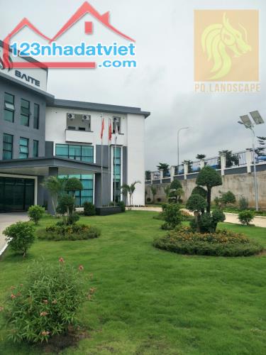 Chăm sóc cảnh quan tạo không gian thoáng mát ở Đồng Nai,HCM