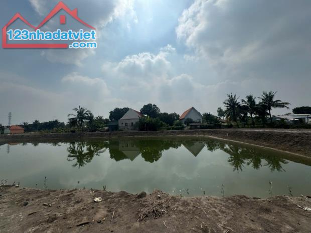 Bán đất Rừng Sác, Bình Khánh, Cần Giờ: 20 x 21, giá 850 triệu.