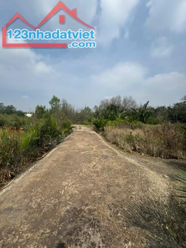 Bán đất Rừng Sác, Bình Khánh, Cần Giờ: 20 x 21, giá 850 triệu. - 2