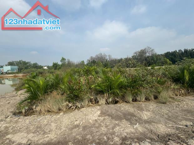 Bán đất Rừng Sác, Bình Khánh, Cần Giờ: 20 x 21, giá 850 triệu. - 5