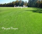 Trồng Cỏ lá gừng tự nhiên sân bóng, sân golf ở HCM, Đồng Nai