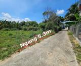 Bán đất Diên Phước giá rẻ full thổ cư đường thông - dân cư đông