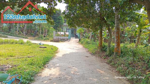 Bán đất vườn đất trông cây hàng năm cách đường Túy Loan 1km Hòa Vang Đà Nẵng