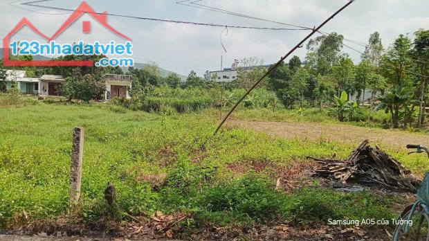 Bán đất vườn đất trông cây hàng năm cách đường Túy Loan 1km Hòa Vang Đà Nẵng - 1