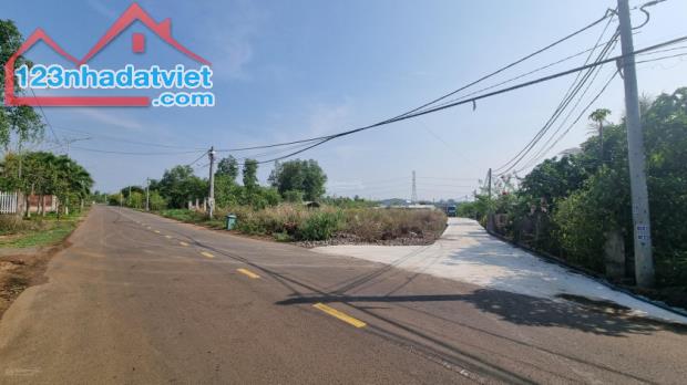 Bán gấp đất chính chủ góc 2 mặt tiền đường Hưng Nghĩa - Lộ 25, huyện Thống Nhất, 175.5m2