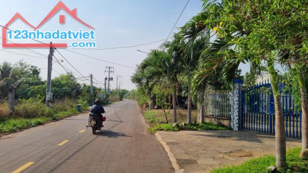 Bán gấp đất chính chủ góc 2 mặt tiền đường Hưng Nghĩa - Lộ 25, huyện Thống Nhất, 175.5m2 - 1