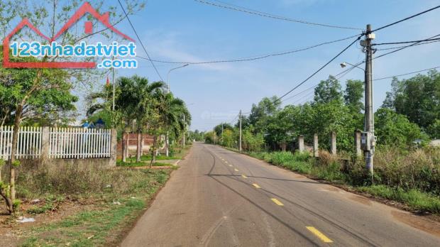 Bán gấp đất chính chủ góc 2 mặt tiền đường Hưng Nghĩa - Lộ 25, huyện Thống Nhất, 175.5m2 - 2