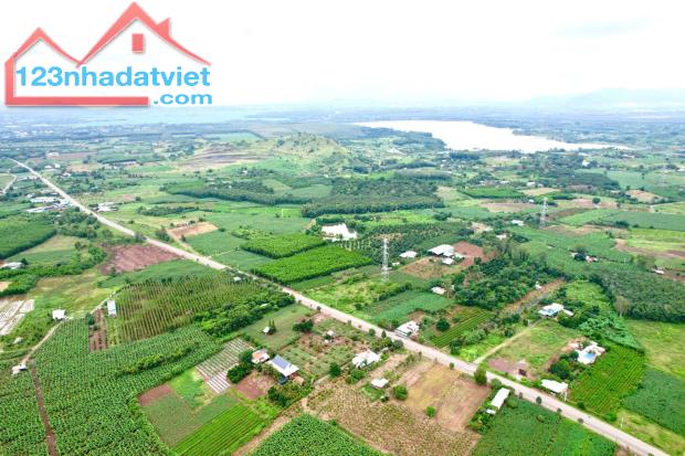 Bán rẻ 113 m2 Đất mặt tiền 12m KCN Đá Bạc tại xã Long Tân, huyện Đất Đỏ, tỉnh BRVT có - 1